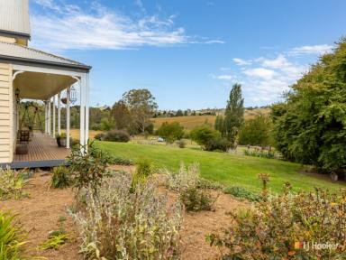 Farm Sold - NSW - Candelo - 2550 - COUNTRY COTTAGE IN A RURAL SETTING  (Image 2)