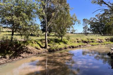 Farm Sold - NSW - Gooloogong - 2805 - 406 ACRES* CREEKFRONT RECREATION & PRODUCTIVE FARM  (Image 2)