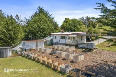 Farm Sold - TAS - Lower Longley - 7109 - Breathtaking and Affordable Rural Living  (Image 2)