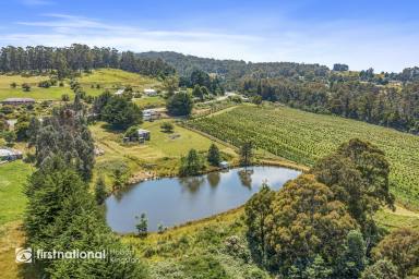 Farm Sold - TAS - Lower Longley - 7109 - Breathtaking and Affordable Rural Living  (Image 2)