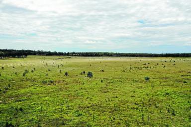 Farm For Sale - QLD - Augathella - 4477 - Country: Cattle Breeding / Backgrounding  (Image 2)