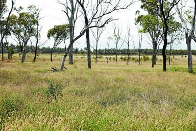 11567 Mt Tabor Road, Augathella QLD 4477
