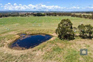 Farm Sold - VIC - Whoorel - 3243 - Welcome to the country...  (Image 2)