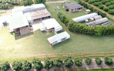 Farm For Sale - QLD - Arriga - 4880 - ARRIGA, MAREEBA 4880 QLD  (Image 2)