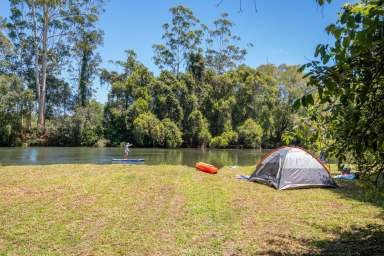 Farm Sold - NSW - Bellingen - 2454 - 600 metres* Kalang River Frontage, 15 Minutes to Bellingen & Urunga.  (Image 2)