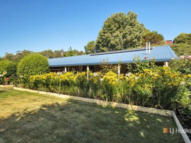 Farm Sold - TAS - South Spreyton - 7310 - Family Home Surrounded by Nature  (Image 2)