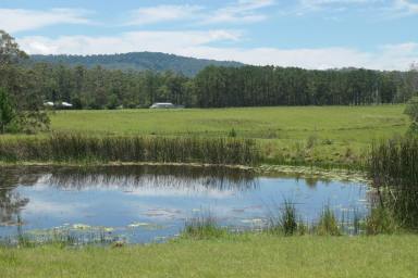 Farm Sold - NSW - Bonalbo - 2469 - THE GREAT ESCAPE  (Image 2)