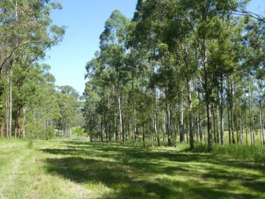 Farm Sold - NSW - Bonalbo - 2469 - THE GREAT ESCAPE  (Image 2)