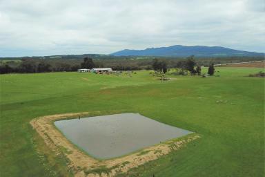 Farm Sold - WA - Napier - 6330 - Redevelop or Replant Opportunity  (Image 2)