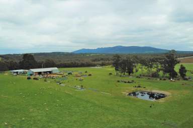 Farm Sold - WA - Napier - 6330 - Redevelop or Replant Opportunity  (Image 2)