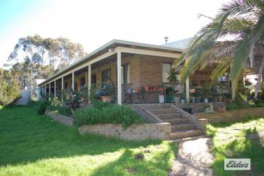 Farm Sold - WA - Jerdacuttup - 6346 - 'Bray's' Jerdacuttup  (Image 2)