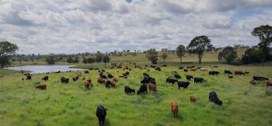 Farm Sold - QLD - Goomeri - 4601 - "Hiawatha" - Cattle, Horses and Hay  (Image 2)