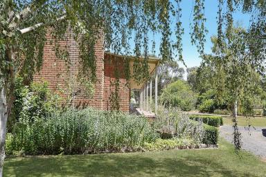 Farm For Sale - VIC - Yeodene - 3249 - SUSTAINABLE LIVING  (Image 2)