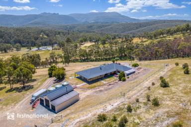 Farm Sold - TAS - Allens Rivulet - 7150 - Contract Crashed - Rare Second Chance  (Image 2)
