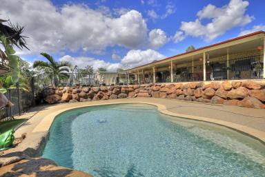 Farm Sold - QLD - Delan - 4671 - LARGE FAMILY HOME WITH POOL ON OVER 6 ACRES  (Image 2)