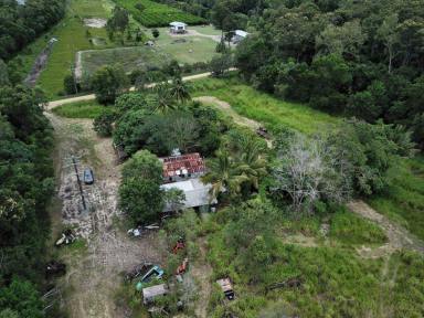 Farm For Sale - QLD - Ellerbeck - 4816 - GREAT RURAL PROPERTY TO BUILD YOUR DREAM HOME  (Image 2)