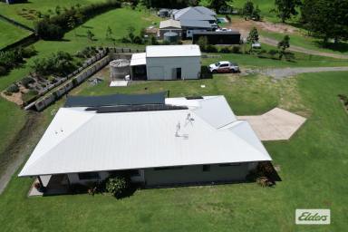 Farm For Sale - QLD - Chatsworth - 4570 - Beautifully Presented Family Acreage Just Moments From Town!  (Image 2)