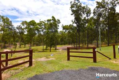 Farm Sold - QLD - South Isis - 4660 - VERY RARE 5.5 ACRES CLOSE TO TOWN.  (Image 2)