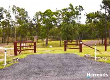 Farm Sold - QLD - South Isis - 4660 - VERY RARE 5.5 ACRES CLOSE TO TOWN.  (Image 2)