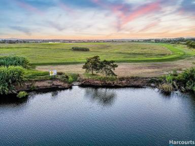 Farm Sold - NSW - Duckenfield - 2321 - Build Your Dream Home with Hunter River Access, Income & Lifestyle Opportunity  (Image 2)