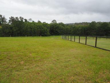 Farm For Sale - QLD - Veteran - 4570 - QUIET SECLUDED BLOCK  (Image 2)
