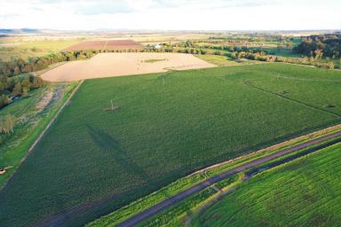 Farm For Sale - NSW - Kyogle - 2474 - AS VERSATILE PROPERTY AS IT GETS  (Image 2)