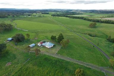 Farm For Sale - NSW - Dobies Bight - 2470 - IRRIGATION COUNTRY  (Image 2)
