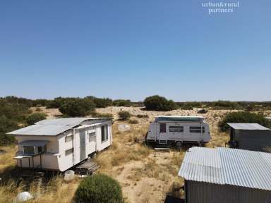 Farm Sold - SA - Lameroo - 5302 - BUSH LIFESTYLE ALLOTMENT  (Image 2)