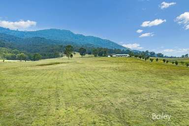 Farm Sold - NSW - Singleton - 2330 - KUNGAH PARK | ESTABLSHED RURAL MIRANNIE VALLEY RETREAT  (Image 2)