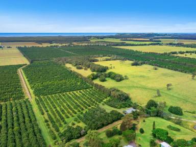 Farm Sold - NSW - Knockrow - 2479 - Ideal lifestyle and substantial income producing property in coastal location  (Image 2)