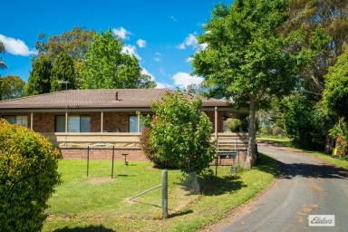 Farm Sold - NSW - Bega - 2550 - 98 East St - Bega  (Image 2)