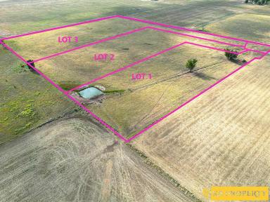Farm For Sale - NSW - Narrabri - 2390 - 3 x 5 ACRE BLOCKS TO CHOOSE FROM - CAPTURE THE COUNTRY FEELING  (Image 2)