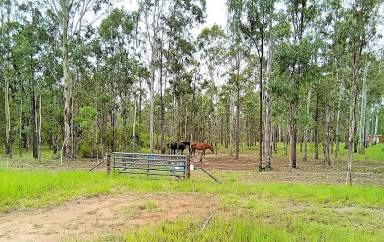 Farm For Sale - QLD - Millstream - 4888 - Three acres on the Millstream  (Image 2)