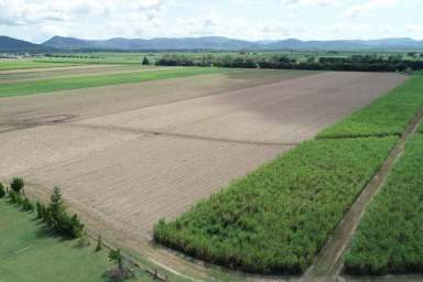 Farm Sold - QLD - Proserpine - 4800 - Updated time for Auction is now 1.00pm
Live in town, ride your push bike to the farms  (Image 2)