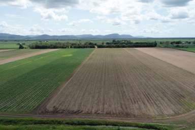 Farm Sold - QLD - Proserpine - 4800 - Updated time for Auction is now 1.00pm
Live in town, ride your push bike to the farms  (Image 2)