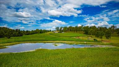 Farm Sold - QLD - Pie Creek - 4570 - Tranquil Irrigation Farming Enterprise on 83 Acres  (Image 2)