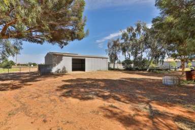 Farm Sold - VIC - Merbein South - 3505 - LOVE THE LIFESTYLE  (Image 2)