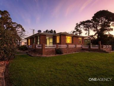 Farm Sold - TAS - Wynyard - 7325 - Your Private Country Oasis!  (Image 2)