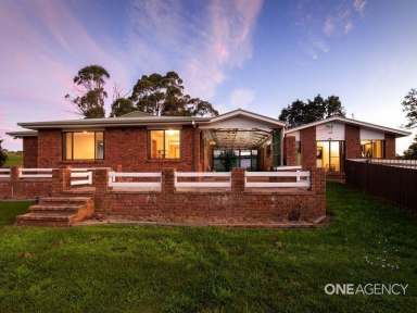 Farm Sold - TAS - Wynyard - 7325 - Your Private Country Oasis!  (Image 2)