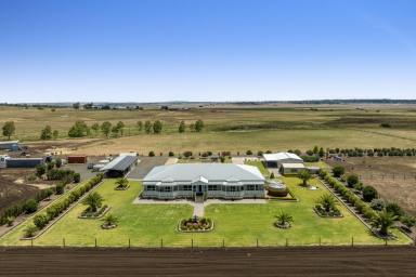 Farm Sold - QLD - Oakey - 4401 - WILLOW GLEN – PREPARE TO BE IMPRESSED  (Image 2)