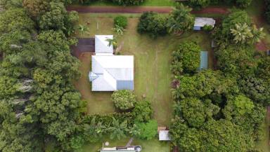 Farm Sold - QLD - Atherton - 4883 - Stunning 1 Acre & Home, 5 Minutes from Town  (Image 2)