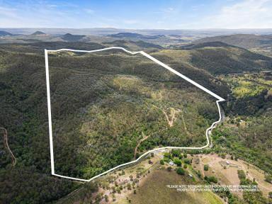 Farm For Sale - QLD - Rockmount - 4344 - ‘Harrington Hill’ - Cattle Country in Toowoomba's doorstep  (Image 2)