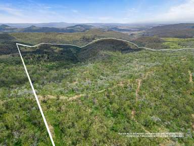 Farm Sold - QLD - Rockmount - 4344 - ‘Harrington Hill’ - Cattle Country in Toowoomba's doorstep  (Image 2)