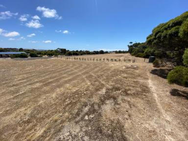 Farm Sold - SA - Kingscote - 5223 - Peace, tranquillity, nature and space. 2 Ha block. Your affordable, quality holiday home or permanent sea change awaits.  (Image 2)