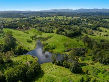 Farm Sold - NSW - Numulgi - 2480 - Lake View - 20 Acres  (Image 2)
