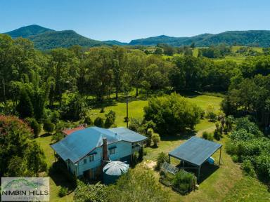 Farm Sold - NSW - Nimbin - 2480 - Price Drop For Fast Sale - Small Acreage With Character, Charm and Creek  (Image 2)