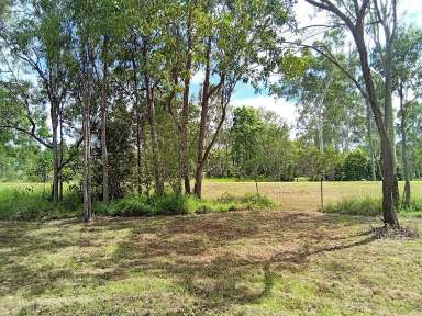 Farm Sold - QLD - Millstream - 4888 - Goregeous cottage on Millstream Pardade  (Image 2)