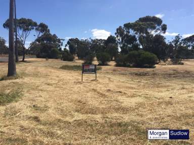 Farm Sold - WA - Katanning - 6317 - LIFESTYLE WITH DEVELOPMENT OPPORTUNITY  (Image 2)