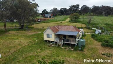 Farm Sold - NSW - Frogmore - 2586 - LITTLE DELIGHT!  The Ideal weekend escape.  (Image 2)