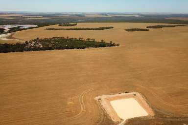 Farm Sold - WA - Mallee Hill - 6353 - Fatima Fields - FOR SALE OR LEASE  (Image 2)